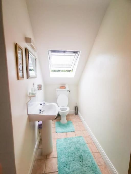 Orchard Cottage Ντίνγκλε Εξωτερικό φωτογραφία